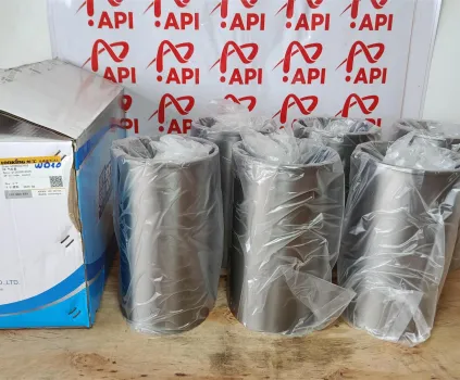 Bộ hơi động cơ WD10 chính hãng