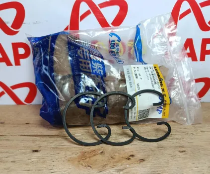 Phe gài chốt piston WD10