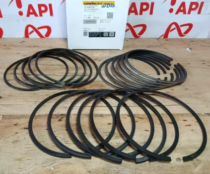 Xéc măng bộ hơi WD10