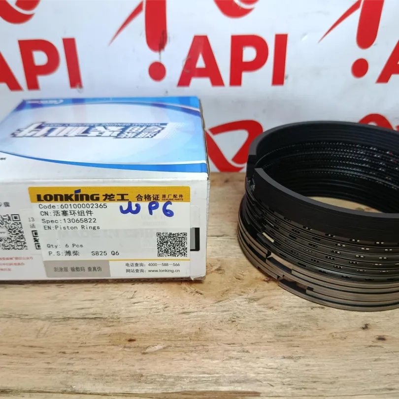 Xéc măng bộ hơi WP6