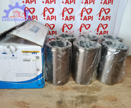 xi lanh động cơ wp6 - 